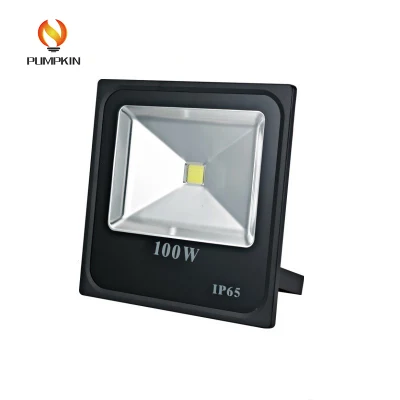 Controlador IC de garantía de calidad Luz de inundación LED baja de 100 W